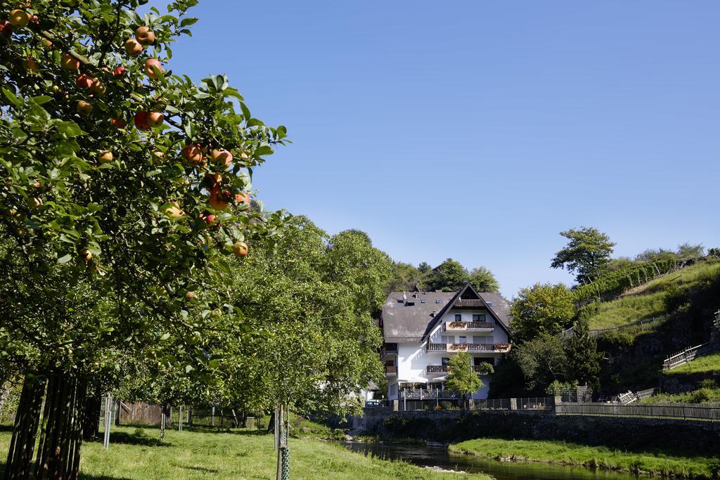 Hotel Pension Jagerstubchen Mayschoß Zewnętrze zdjęcie